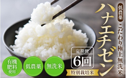【令和8年産】《定期便6回》特別栽培米 ハナエチゼン  無洗米 低農薬 5kg×6回 30kg 《食味値85点以上！こだわり無洗米》 / 福井県 あわら 北陸 米 お米 人気 [aw032-h005]