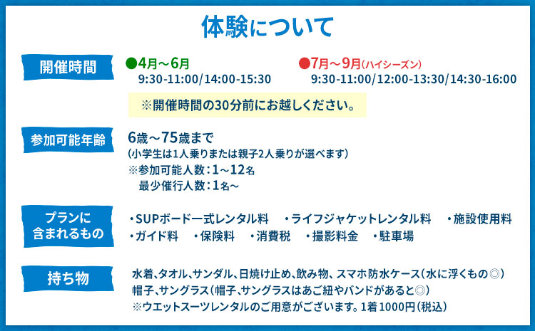 初心者向けSUP体験ツアー 1名様 4-6月 GO4SURF《30日以内に出荷予定(土日祝除く)》千葉県 勝浦市 マリンアクティビティ体験 マリンスポーツ 海 SUP サップ 初心者向け 初心者 体験