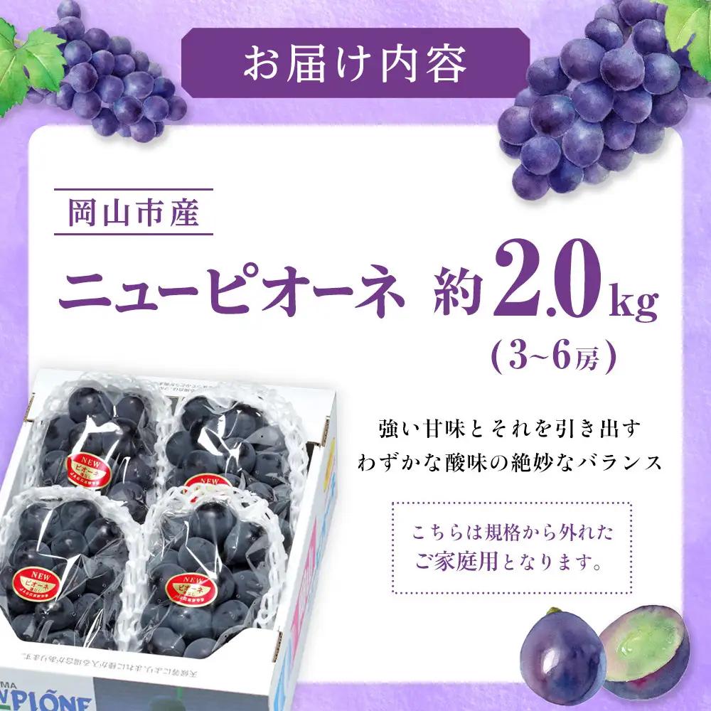 ご家庭用 ニュー ピオーネ 3～6房 約2kg ｜  ピオーネ
