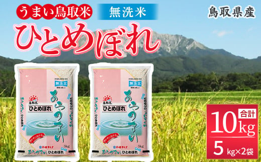 【3月発送】＜無洗米＞鳥取県産ひとめぼれ（5kg×2袋） パールライス お米 米 こめ コメ 白米 ブランド おいしい 健康 産地直送 米10キロ 無洗米 ひとめぼれ