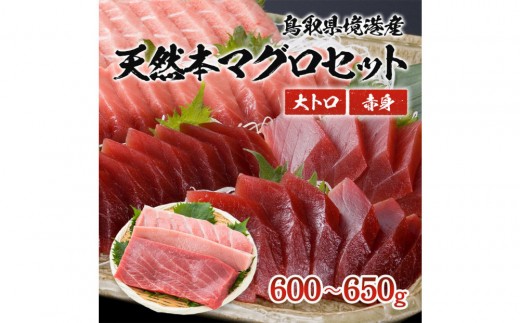 天然本マグロ(黒マグロ)　2点セット(大トロ・赤身)600～650g | 本マグロ クロマグロ 黒マグロ 天然マグロ マグロ まぐろ 刺身用 サク 柵 海鮮 魚介 魚介類 赤身 大トロ 食べ比べ セット 高級魚 贅沢食材 刺身 海鮮丼 寿司用 家庭用   お取り寄せ グルメ 人気 おすすめ 国産 鳥取県 境港市