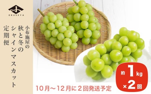 
                  秋と冬のシャインマスカット2回定期便 約1kg × 2回 合計 約2kg ［小布施屋］ フルーツ ぶどう 果物 くだもの 葡萄 ブドウ 長野県産 信州産 クール便 冷蔵便 数量限定 先行予約 送料無料 令和8年産 【2026年10月～12月発送】［J-8］
                