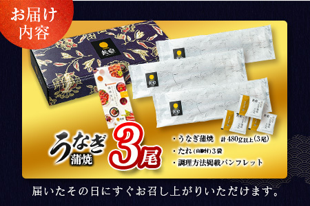 ＜2025年10月お届け＞高評価!! うなぎ 鰻楽 国産 蒲焼 3尾 人気 無頭 計480g以上 おすすめ 冷凍 簡単調理 個包装 鰻 魚介 贈答品 ギフト 贈り物【C444-2510】