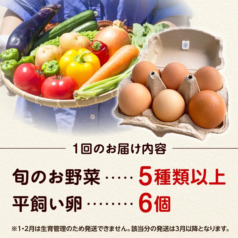 【全3回定期便】 米ぬかで育てた！旬のお野菜＆平飼い卵セット ベジ彩ファーム[AOEJ005] 野菜