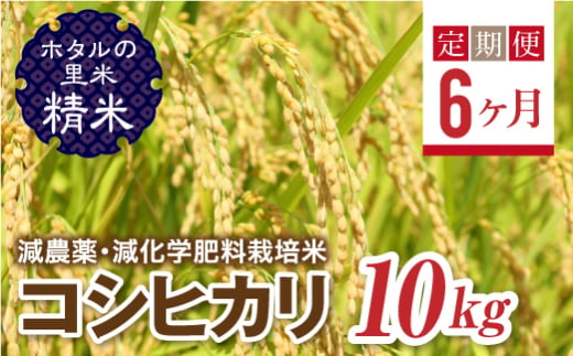 ＜定期便6ヶ月＞【ホタルの里米】環境に配慮し農薬を減らした栽培米 コシヒカリ精米10kg F4D-1006