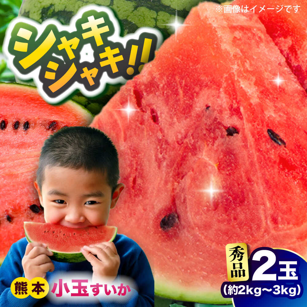 【ふるさと納税】【2026年発送分先行予約 数量限定】【秀品】小玉すいか 2玉 約2kg～3kg 熊本 スイカ 西瓜 小玉 フルーツ 果物 甘い シャリシャリ スイカ こだますいか 熊本県産 合志市 送料無料【株式会社 Foody’s】[AYAT008]