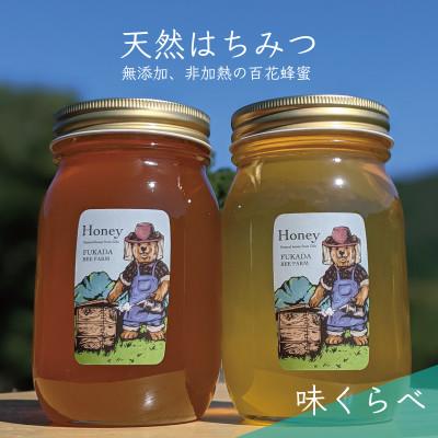 ふるさと納税 美濃市 合計1200g 深田養蜂の天然蜂蜜  非加熱 生はちみつ 岐阜県 美濃市産 味比べ 2本セット C3