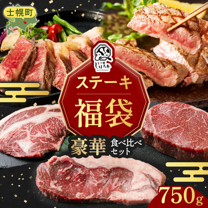 【ふるさと納税】＜12月31日までの受付＞ 北海道 豪華 しほろ牛 ステーキ 食べ比べ 福袋 しほろ牛 サーロイン リブロース フィレ 牛肉 肉 詰め合わせ セット お取り寄せ 道の駅 ピア21しほろ 送料無料 十勝 士幌町 35000円