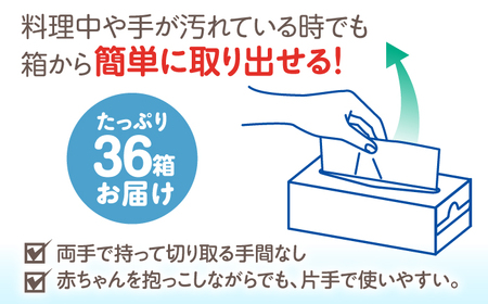 スコッティ キッチンタオルボックス 36箱 キッチンペーパー  [BDBH003-1]