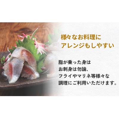 ふるさと納税 石巻市 大とろ金華いわしフィーレ 500g 金華いわし 鰯 いわし イワシ フィレ 切身 魚 魚介 海鮮 魚 |  | 02