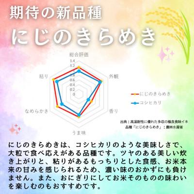 ふるさと納税 矢吹町 【令和7年産】〈無洗米〉期待の新品種!福島県矢吹町の美味しいお米!にじのきらめき5kg |  | 02