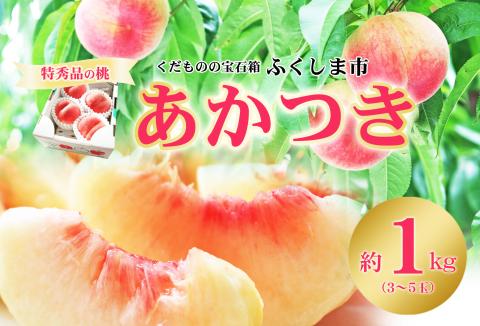 No.2434菅野房吉商店　もも「あかつき」特秀品 1kg【2024年発送】