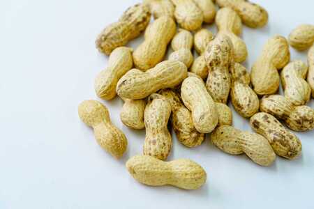 009-04毎日食べたい落花生セット（5袋）A / ピーナッツ 4種類 詰合せ 塩味 バター 観光推奨品 丹沢 おつまみ おやつ 秦野 神奈川 厳選素材 豆 落花生 素煎りそぼく豆 さや煎りピーナッツ