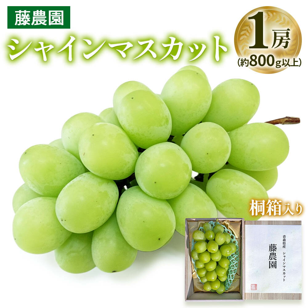 【ふるさと納税】シャインマスカット 1房 桐箱入り (約800g)｜糖度18度以上 種なし ぶどう フルーツ 果物 贈答 青森 つがる市 藤農園 2025年産 令和7年 農福連携 [0627]