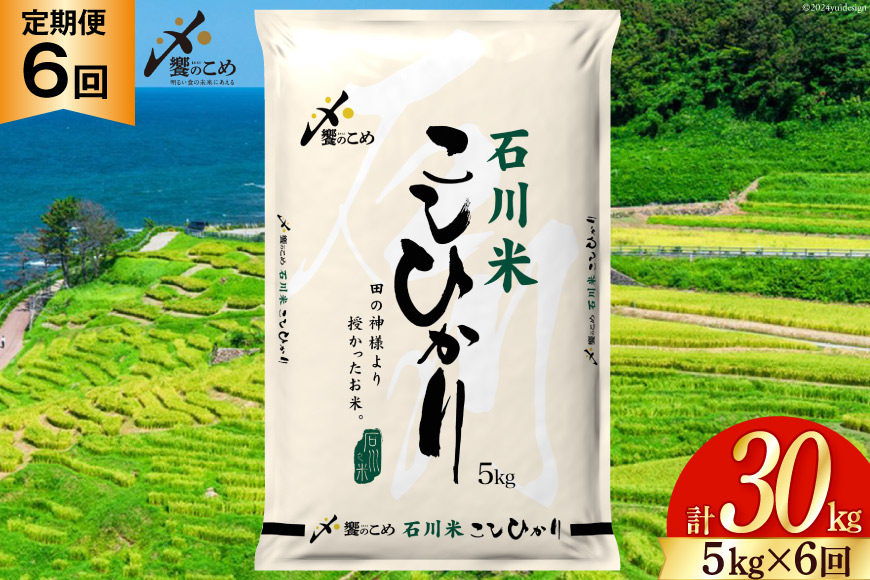 米 定期便 石川米こしひかり【穂立】5kg×6回 総計30kg [中橋商事 石川県 宝達志水町 38601131] コシヒカリ お米 コメ
