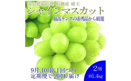 【2回定期便】プレミアム シャインマスカット 晴王 2房約1.4kg 2回 定期便 9月・10月に1回ずつお届け 種無し 皮ごと食べる フレッシュ 旬の美味しさ【シャインマスカット マスカット ぶどう 葡萄 岡山県産 種無し 皮ごと食べる みずみずしい 9月～10月お届け フレッシュ 晴れの国おかやま 果物大国 贈答品 彩美菜果 岡山県 倉敷市 おすすめ 人気 】