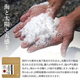 土佐和牛詰め合わせ8種Aセット 長期熟成肉 8種 詰め合わせ セット 田野屋銀象 完全天日塩付き 牛肉 肉 お肉 和牛 国産 牛 赤身 ヒレ カルビ ロース ブロック サーロイン スネ肉 熟成肉_イメ