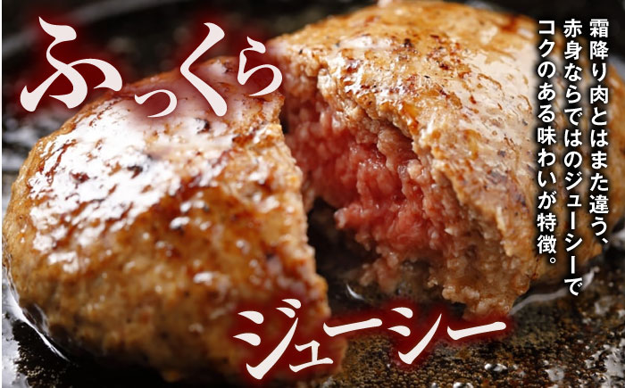 【年間25万個販売！】熊本県産 くまモン あか牛 ハンバーグ 120g×6個 セット 熊本 日本 赤牛 ギフト 贈答 あかうし 肥後 冷凍 国産 牛肉【有限会社 三協畜産】[YCG036]