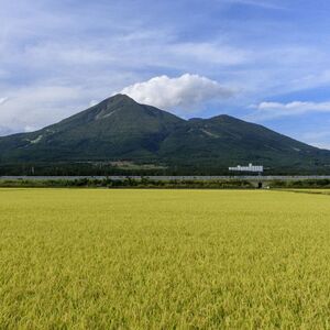 田舎もち 切り餅 400g×8袋