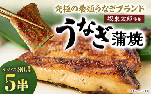 
天然 に近づけた究極の養殖 鰻「坂東太郎 使用」 うなぎ 蒲焼 小サイズ 80g前後×5串【1488907】
