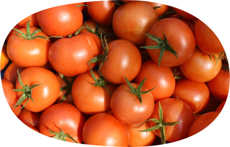 むつ市産　寅福菜園の「サステナブルトマト」4㎏