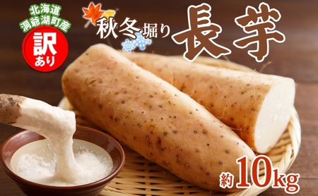 長芋 訳あり とろろ 北海道産 長芋【約10kg】【先行予約】
