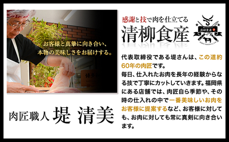 餃子 一口餃子 ひとくち 博多和牛 冷凍 25個 × 5パック 125個 清柳食産《30日以内に出荷予定(土日祝除く)》九州産 牛 肉 送料無料 冷凍 鞍手郡 小竹町 牛肉 肉料理 和牛 博多和牛 揚