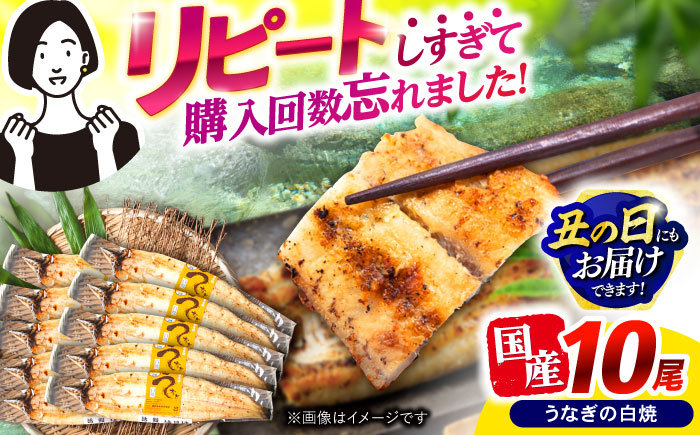 
            【最速発送】＜諫早淡水＞うなぎ白焼き10尾 / うなぎ ウナギ 鰻 白焼き 白焼 しらやき 国産 冷凍 小分け / 諫早市 / 活うなぎ問屋 諫早淡水 [AHAT010]  最速 最短 スピード 発送
          