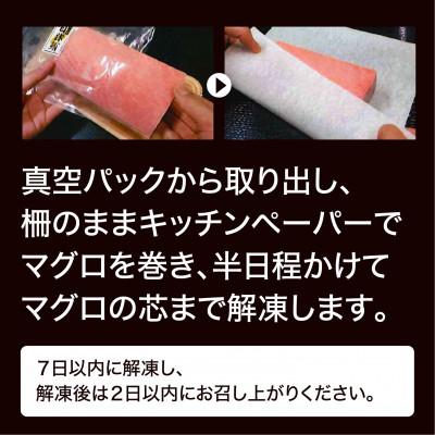 ふるさと納税 三浦市 三崎マグロ　鈴木水産　天然インドマグロ(大トロ・中トロ・赤身)セット |  | 03