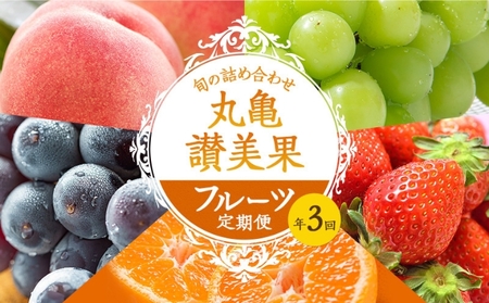 フルーツ定期便 丸亀讃美果 計3回定期便／ 果実 果物 旬 定期配送 シャインマスカット 桃 みかん いちご ピオーネ ぶどう 詰め合わせ 詰合せ 果物類 旬のフルーツ 季節の果物 ブドウ せとか お楽しみ 