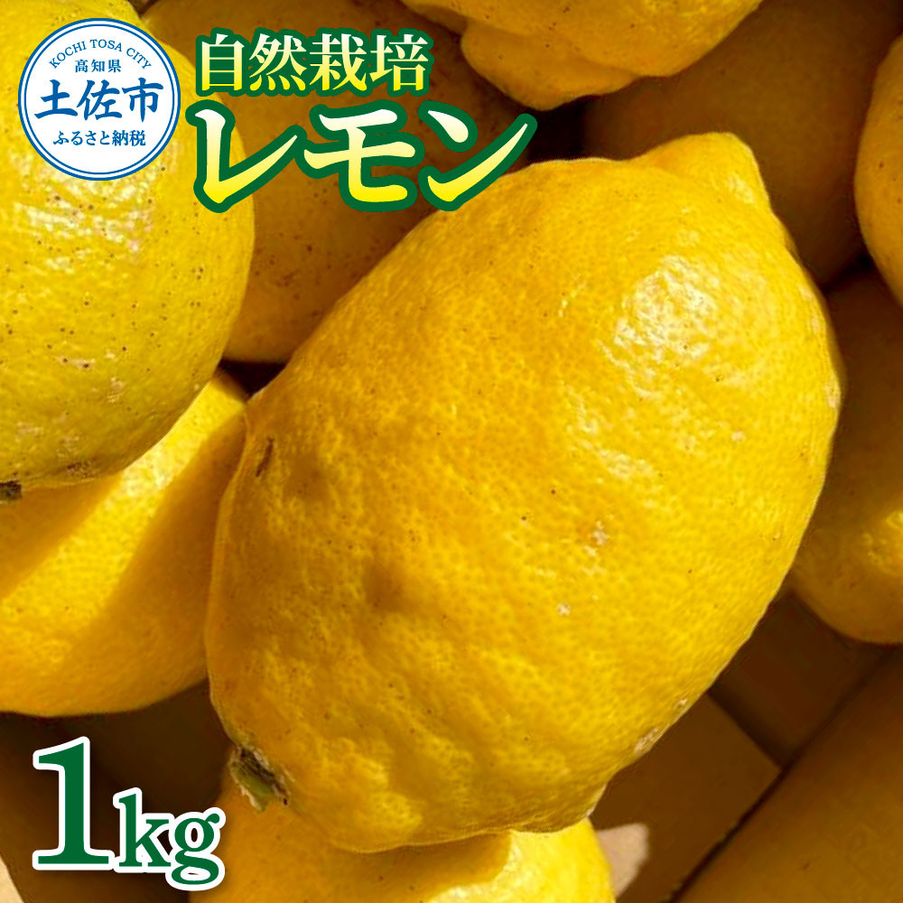 
            自然栽培レモン1kg 1キロ レモン 檸檬 れもん 自然栽培 無農薬 柑橘類 柑橘 フルーツ 果物 くだもの レモネード 塩レモン はちみつレモン レモンスカッシュ レモンサワー ビタミンC
          