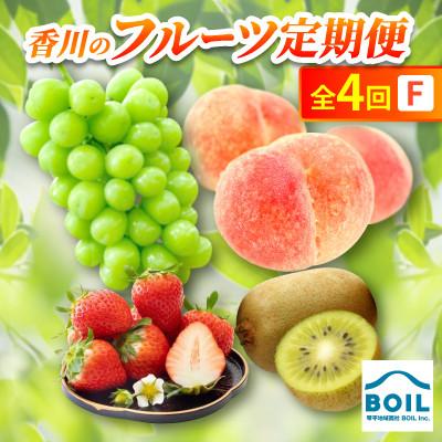 ふるさと納税 香川県 【発送月固定定期便】香川のフルーツ(4F)全4回