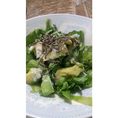 ふるさと納税 茨木市 【2ヵ月毎定期便】塩昆布(乾燥)いそ松葉 200g×2セット全6回 |  | 02