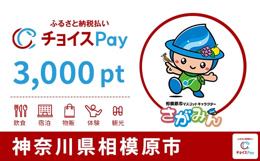 
            相模原市チョイスPay 3,000pt【会員限定のお礼の品】
          
