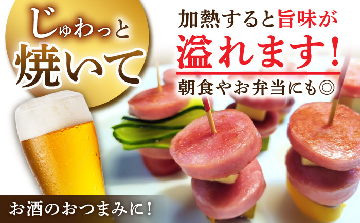 【6回定期便】宮地ハムのロングセラー ボロニアソーセージ 100g×7本 /宮地ハム [UBM012]