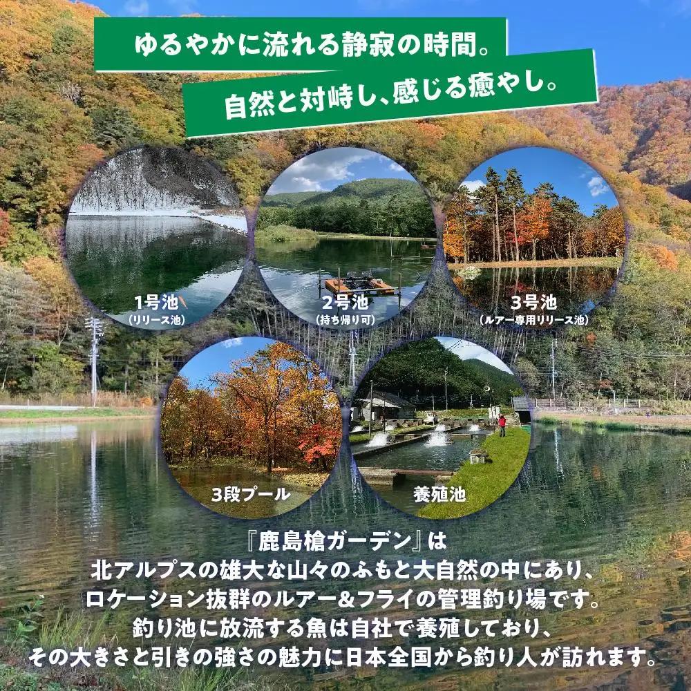 鹿島槍ガーデン釣りチケット引換券　大人女性1日券（1名様分） | つり アウトドア 長野 大町