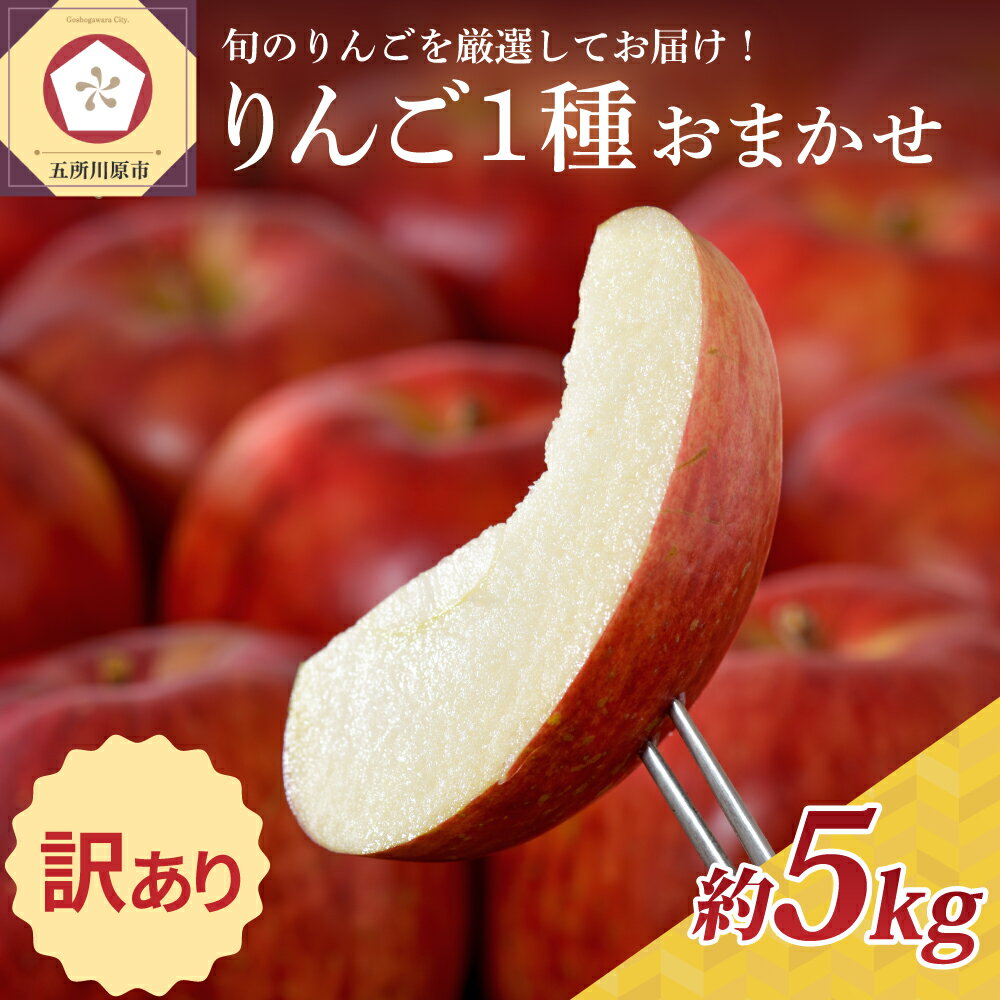 【ふるさと納税】 りんご 【 訳あり 】 5kg 1品種おまかせ ( 配送時期が選べる 10月～3月 )/ 不揃い 規格外 傷 果物 くだもの フルーツ 林檎 アップル リンゴ 秋 旬 常温保存 10月 11月 12月 1月 2月 3月 青森県 五所川原市