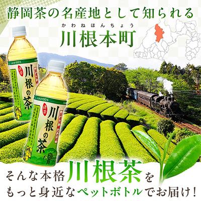 ふるさと納税 川根本町 「川根の茶」ペットボトル500ml×24本入り |  | 01