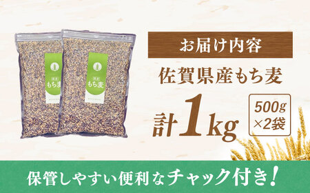 佐賀県産　もち麦 計1kg（500g×2袋）/ お米 もち麦 佐賀県産米 国産 九州 / 佐賀県 / 一般社団法人龍乃[41ANAC106]