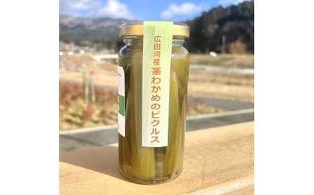 広田湾産茎わかめのピクルス 2本 たかたのゆめちゃん パッケージ ピクルス