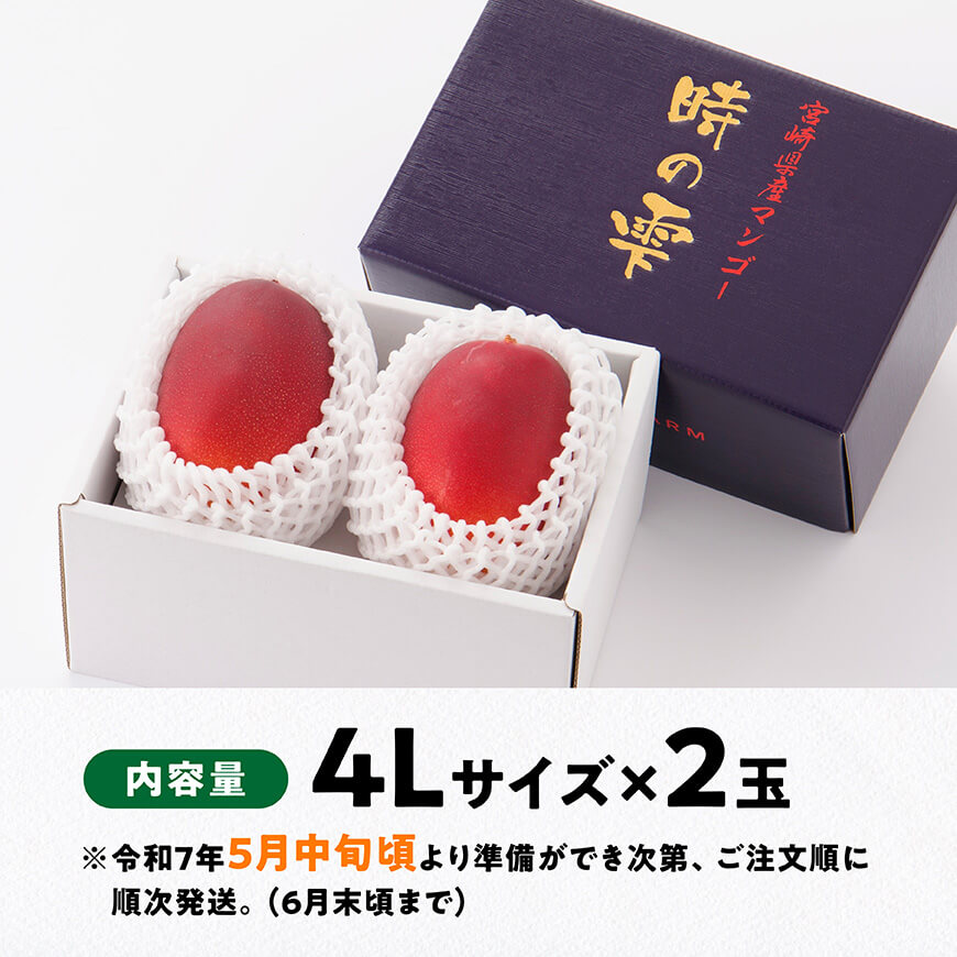 【令和７年発送】宮崎県産完熟マンゴー「時の雫」 4L×2玉【 果物 フルーツ マンゴー 宮崎県産 九州産 完熟マンゴー みやざきマンゴー 】