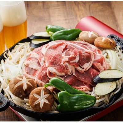 【毎月定期便】ラム肉 スライス 100g×5パック(合計500g) 味付き 羊肉全3回【配送不可地域：離島】