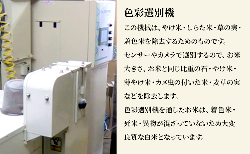 米 若葉の舞 コシヒカリ 玄米食用2kg×3個セット 定期便12回 こしひかり セット 定期便 お米 玄米 千葉 千葉県 低温保存