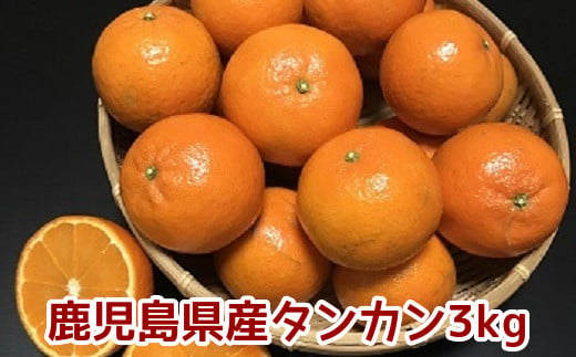 002-13 こだわりの薩摩濃密タンカン3kg