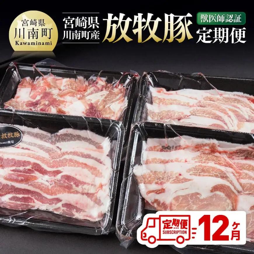 【12ヶ月定期便】宮崎県川南町産豚肉　放牧豚定期便 【 豚 肉 豚肉 国産 九州産 宮崎県産 川南町 加工品 セット 送料無料 】