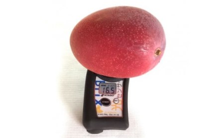  厳選！濃厚完熟マンゴー 4Lサイズ（糖度15度以上）【2026年5月中旬頃から6月初旬発送】 D-125