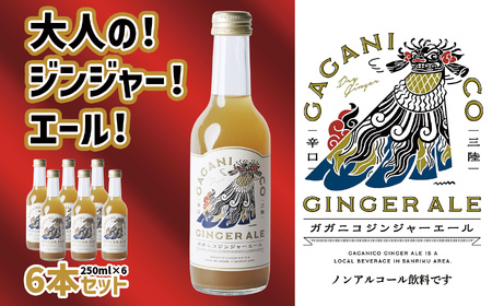【炭酸飲料】 ガガニコジンジャーエール 6本セット (250ml×6本)【 炭酸 飲料 ドリンク 飲み物 ノンアルコール ジンジャー 北限のゆず ゆず 生姜 ショウガ しょうが 】RT1955