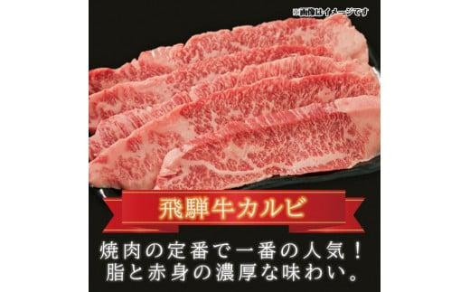 飛騨牛 ＆ 飛騨豚 焼肉 セット 合計 1kg | 肉 国産 牛 豚 29-950 ファミリーストアさとう CY030VC13