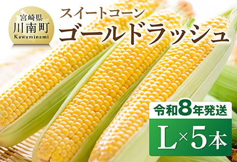 【令和8年発送】宮崎県産とうもろこし　スイートコーン「ゴールドラッシュ」L×5本【新鮮 農家直送 トウモロコシ 産地直送 季節限定 期間限定 宮崎県産 九州産 野菜 】[C09107]