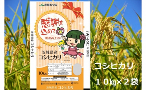 No.180 【令和5年産】茨城県産コシヒカリ20kg（10kg×2袋）精米 JA茨城むつみ ／ お米 こしひかり 旨味 茨城県